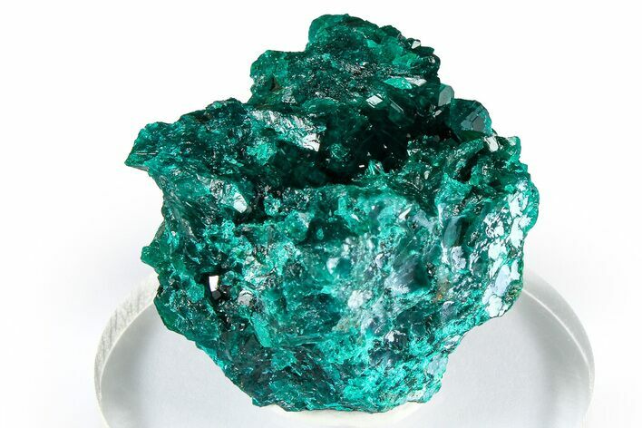 Emerald-Green Dioptase Crystal Cluster - Congo #372199